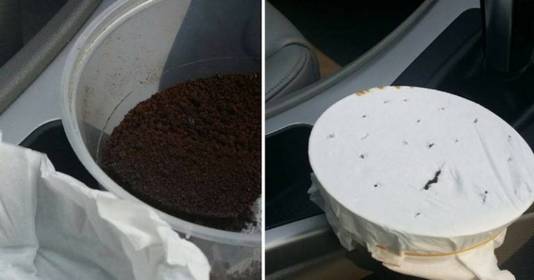Tak Perlukan Pewangi Kalau Nak Harumkan Kereta, Guna Petua Ni Je!