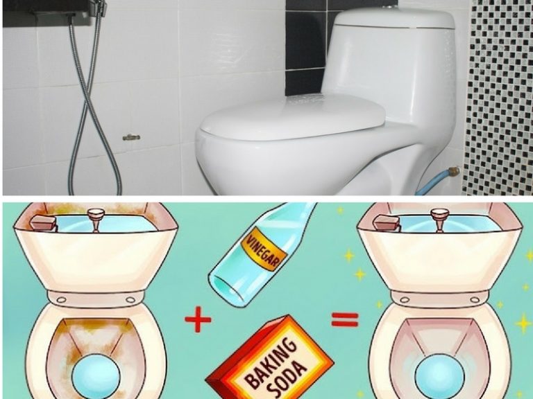 Guna 2 Bahan Ini Jika Mahu Mangkuk dan Tangki Tandas Berkilat. Cukup Sempoi!