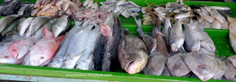 Ikut Cara Ini Jika Mahu Pastikan Ikan Dibeli Masih Fresh. Ibu-Ibu Wajib Amalkan!