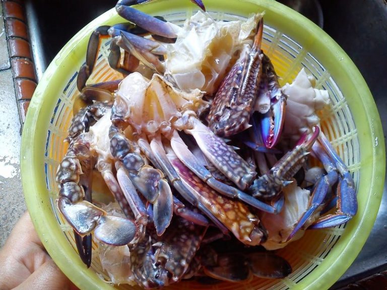 Cara Nak Pilih Ketam Isi Padat & Segar, Ini Tipnya, Barulah Puas Hati Makan!