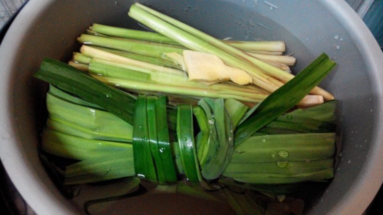 Nak Tahu Cara Buat Miss V Lebih Ketat & Hebat, Cuba Amalkan Jus Detoks 7 Bahan Ini!