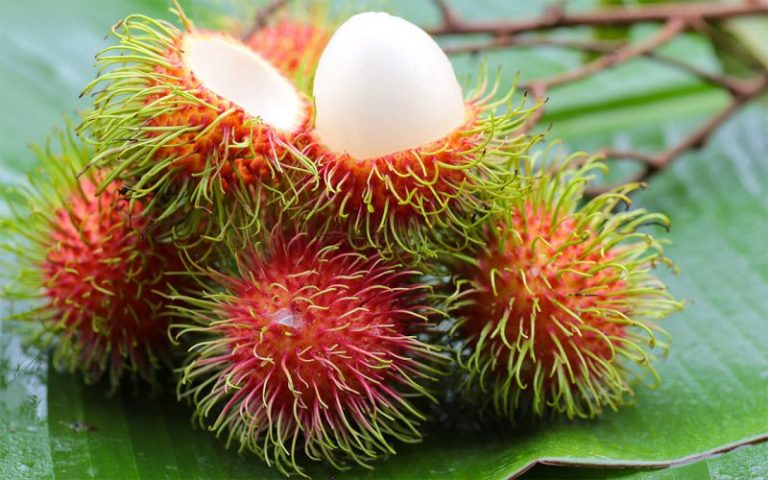 Takut Batuk Makan Buah Rambutan, Ini Cara Terbaik Elakkannya!