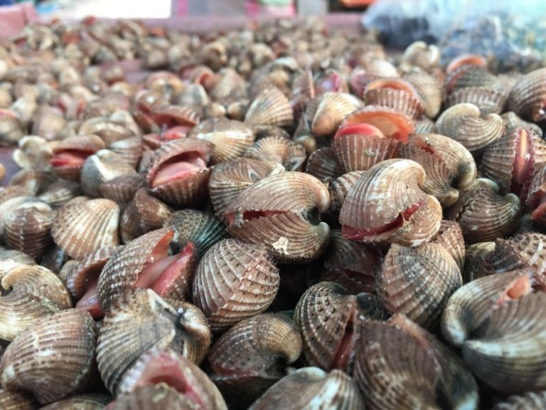 Kulit Kerang Putih Bersih, Baru Berselera Dimakan!