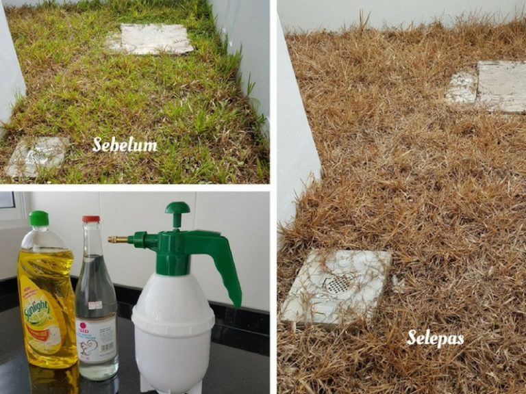 Cuka Dan Sabun Pencuci Bantu Hapuskan Rumput Liar Di Halaman. Mudah Dan Menjimatkan.