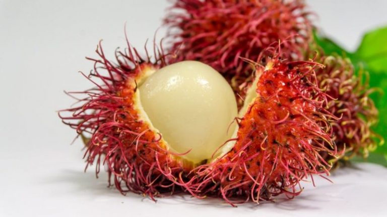 Kalau Takut Anak Batuk Makan Buah Rambutan, Jangan Lupa Amalkan Langkah Ni!