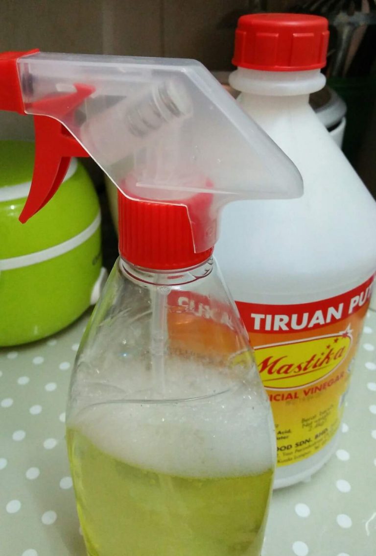 Hapuskan Semut & Lalat, Guna Spray Buatan Sendiri!