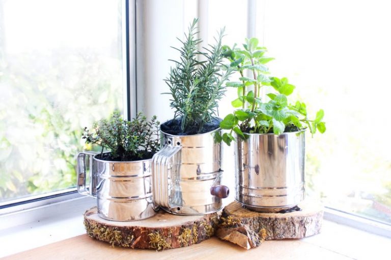 Idea Tanam Herba Cara Kreatif. Dapur Jadi Cantik & Super Jimat!