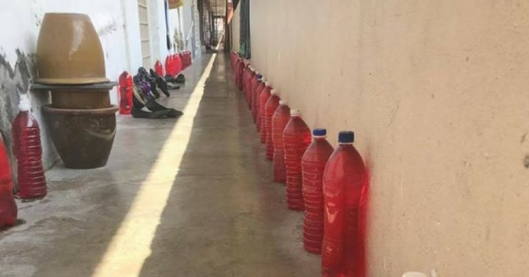Letak Air Botol Berwarna,  Elak Kucing Kesayangan Kencing Ditempat Sama, Ikut Cara Ni!