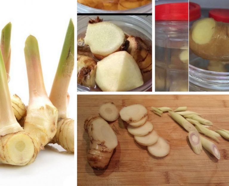 Cara Betul Simpan Lengkuas Agar Boleh Tahan Lama & Senang Nak Guna Bila-bila Masa!