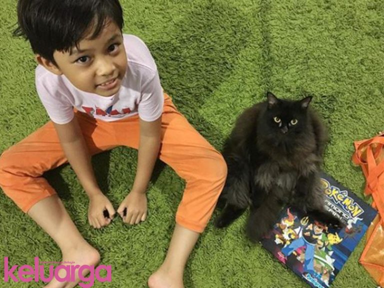 Inilah Cara Paling Mudah & Berkesan Uruskan Najis Kucing. Hatta Anak Kecil Pun Boleh Buat!