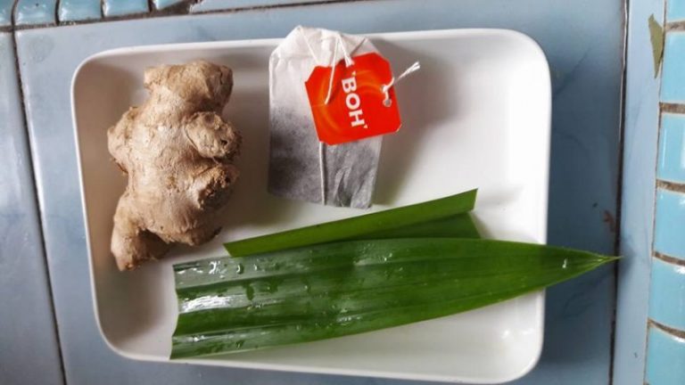 Sediakan Secawan Teh O  Pandan Panas Selepas Berbuka, Confirm Badan Makin Segar Lagi Cergas, Wajib Cuba!