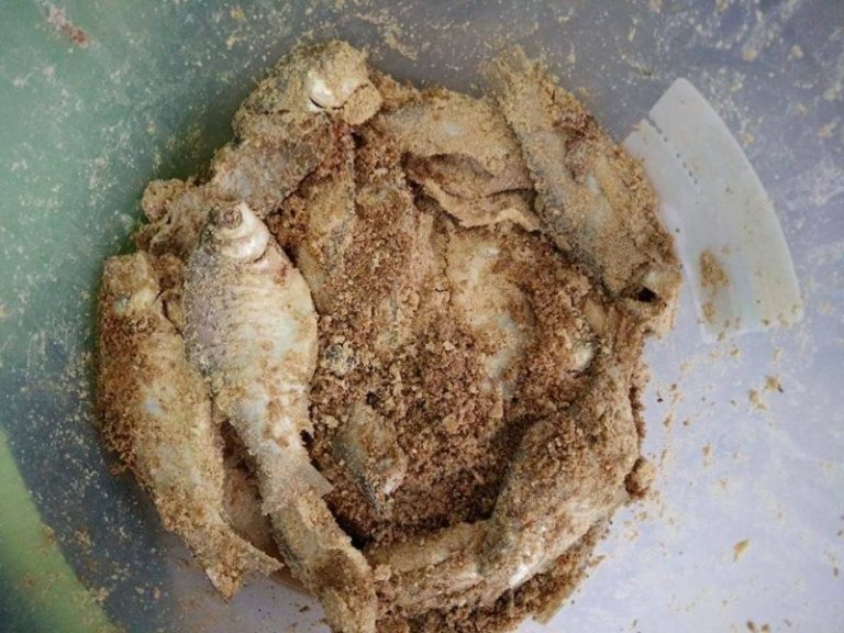 Cara Paling Mudah Buat Ikan Pekasam Sendiri,  Memang Terlajak Sedap Rasanya!