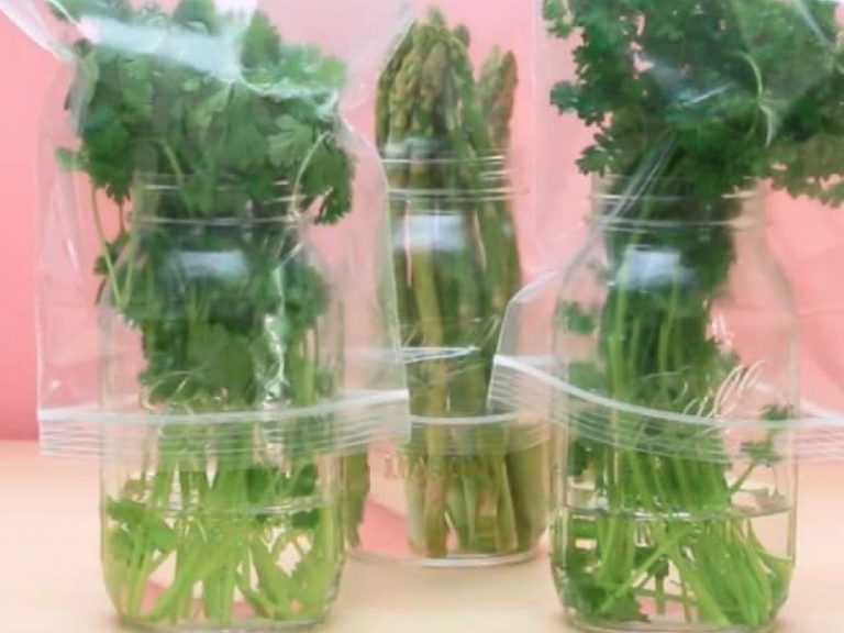 Guna Botol Air Terbuang Jika Ibu-Ibu Mahu Sayur Tahan Lebih lama Dan Segar. Cukup Mudah!
