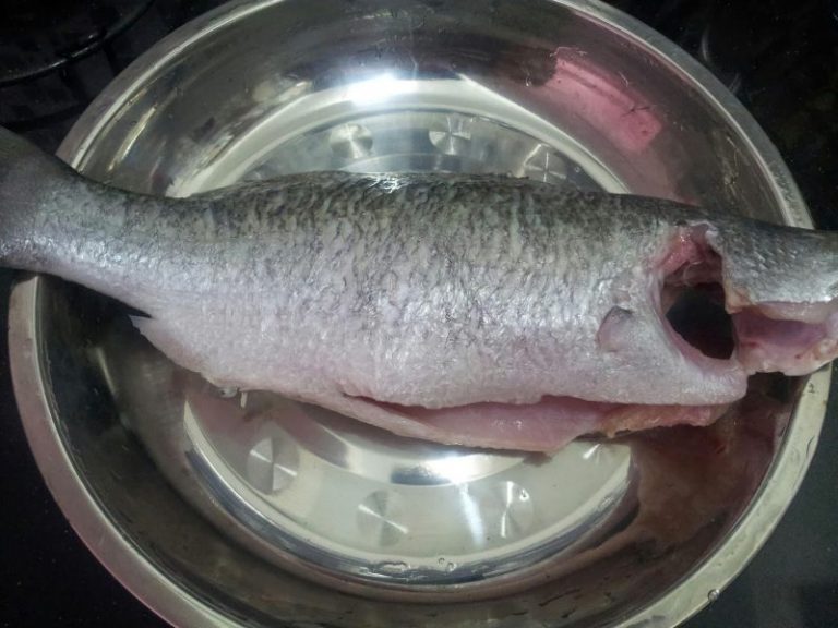 Walaupun Disimpan Lama Tapi Ikan Tetap Segar,  Tiga Langkah Confirm Puas Hati Kalau Makan!