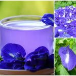 PicsArt_05-05-05.24.52