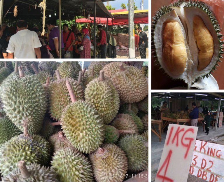 Misi Mencari Durian Murah, Ini Antara Lokasinya. Memang Puas Hati, Rugi Kalau Tak Serbu!