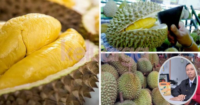 Rupanya Durian Mampu Tenangkan Fikiran Dan Atasi Imsomnia, Scientist Ni Berikan Faktanya!