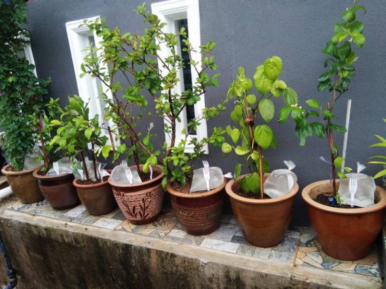 Tinggalkan Dulu Bungkusan Air Dalam Pasu, Sebelum Balik Kampung. Ada Sebab Perlu Buat Begitu!