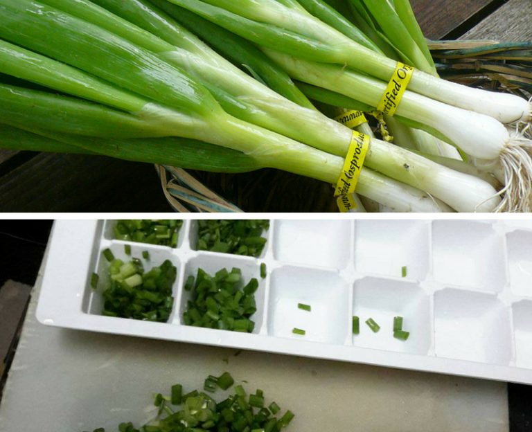Ni Cara Bijak Simpan Daun Bawang Kekal Segar. Memang 100% Menjadi!