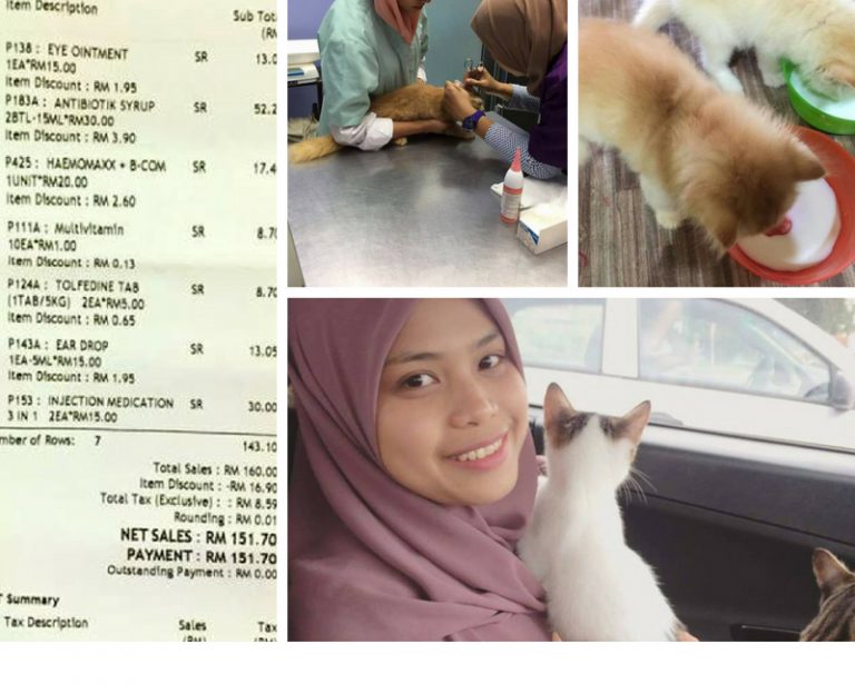 Walaupun Bela Kucing Kosnya Tinggi, Wanita Ni Sanggup. Asalkan Kebajikan Kucingnya Terjaga!
