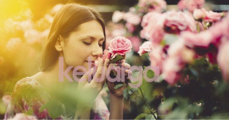 Terapi Sihat Dengan BUNGA, Floria Diraja Pasti Buat Isteri Hilang Stress, Suami Take Note Ya!