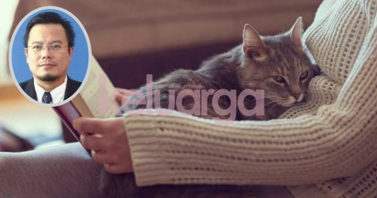 Parasit Kucing Bahayakan Ibu Hamil, “Tak Salah Bela Kucing Tapi Kena Hati-Hati”-Dr Zubaidi