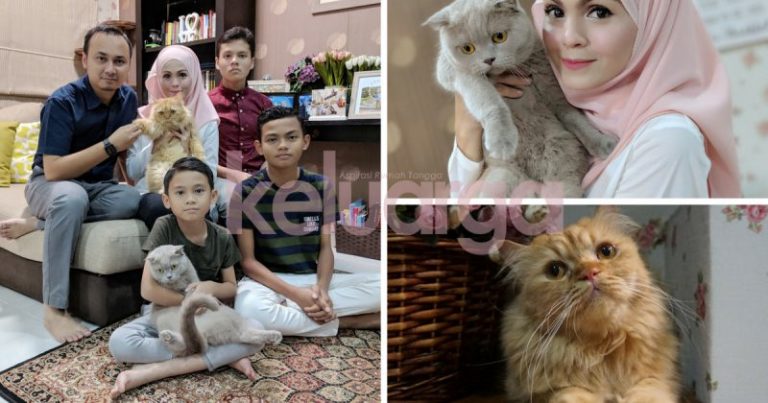 “Dulu Suami Tak Suka Tapi Akhirnya Jatuh Cinta Pandang Pertama”, Garfield Dan Maya Jadi Pelengkap Bahagia!