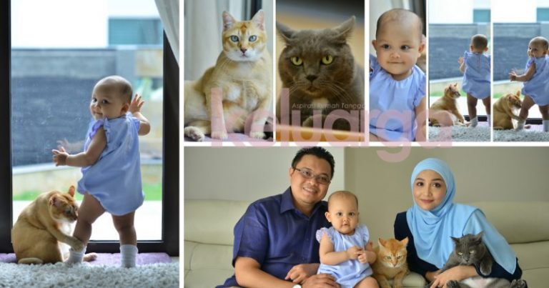 Mok & Mumu Merajuk, Renyukkan Surat Panggilan Haji Gara-Gara Takut Ditinggalkan. Sayang Betul Kucing Ni Dengan Tuannya!