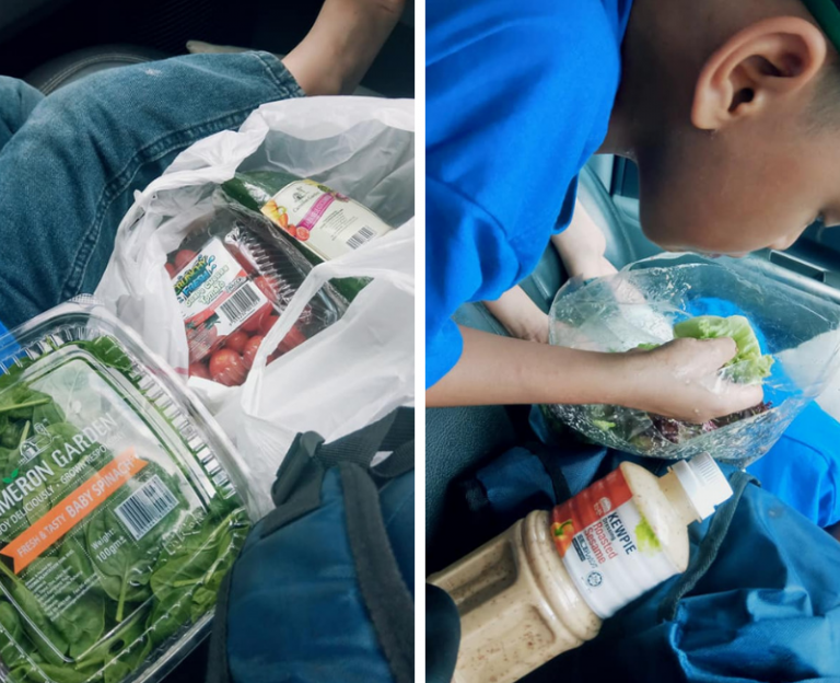 Kalau Dulu Suruh Makan Sayur Boleh Bergusti Dibuatnya, Kini Anaknya Sendiri Request. Ketahui Apa Ibu Ni Buat Hingga Jadi Macam Tu!