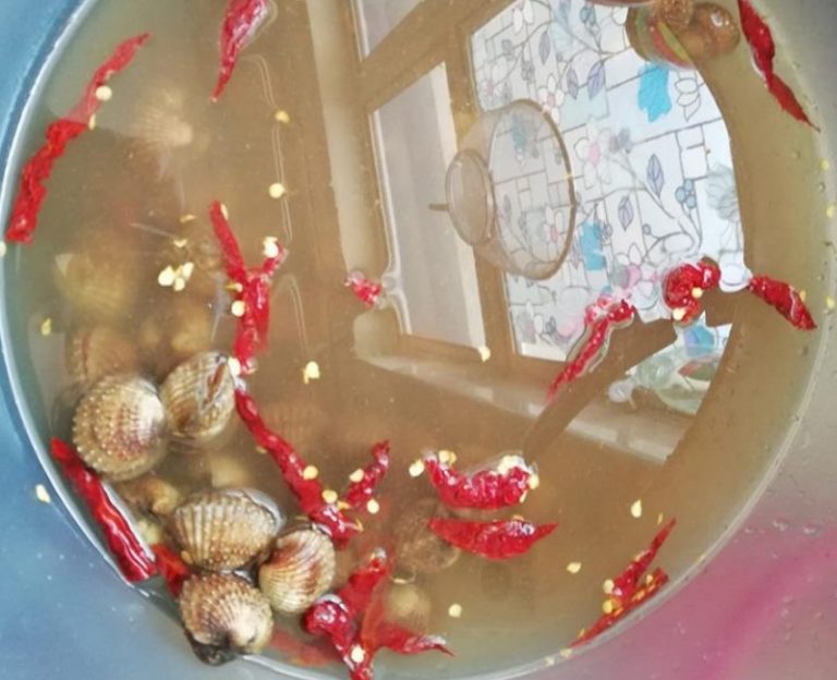 Nak Bersihkan Lumpur Yang Ada Dalam Perut Kerang, Ni Caranya Ibu Boleh Buat!