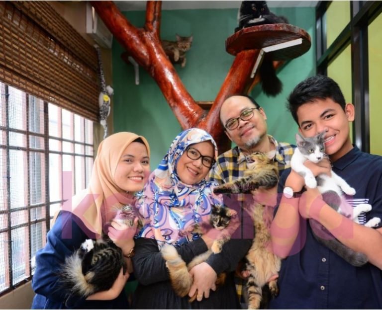 Jaga Hati Jiran, Keluarga Ni Berhabis RM 4K Untuk Pastikan Tiada Bau Kucing Terhidu. Memang Terbaiklah!