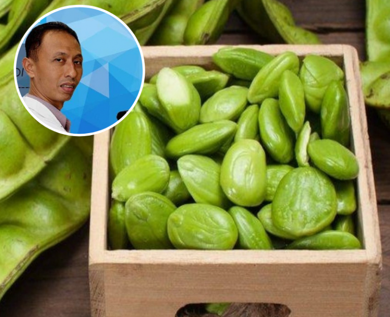 Saintis Ni Dedah Cara Terbaik Makan Petai Agar Bermanfaat Untuk Kesihatan. Barulah Sekeluarga Lebih Sihat!