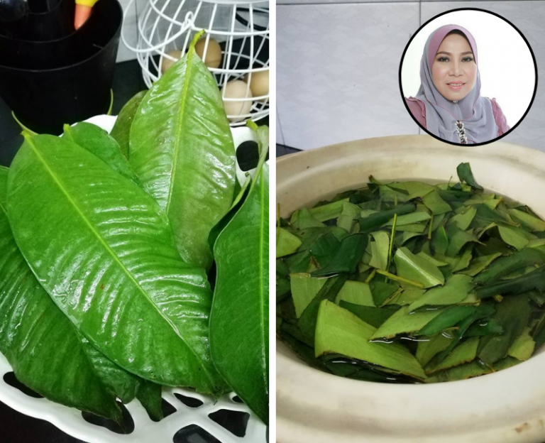 Isteri Ni Sediakan Air Rebusan Untuk Kawal Kencing Manis Suaminya. Kini Sudah Nampak Perubahan Positif!