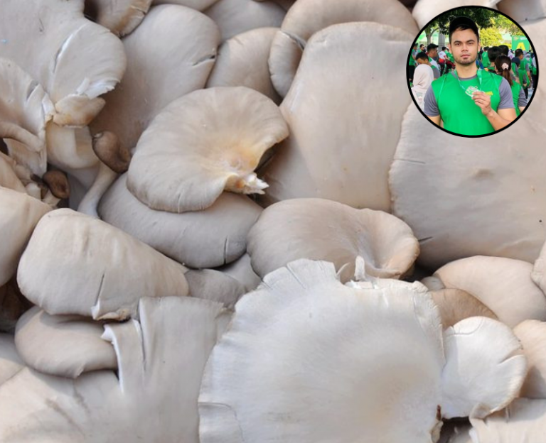 Makan Cendawan Bantu Turunkan Berat Badan! Coach Ni Siap Bagi Resipi Untuk Dicuba!