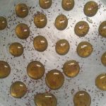 FB_IMG_1552750692630