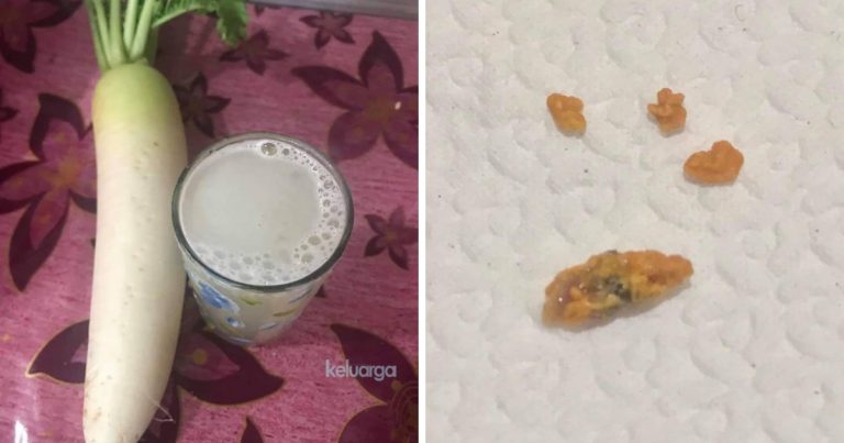 Cara Rawat Batu Karang Secara Semula Jadi Guna Tiga Bahan Sahaja. Lelaki Ini Kongsikan Petuanya Dengan Jus Lobak Putih.