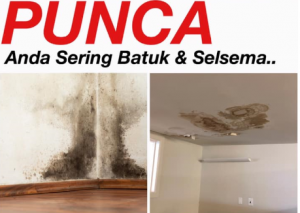 Bila Siling Dan Dinding Rumah Berkulat, Ia Penyebab Sering Batuk