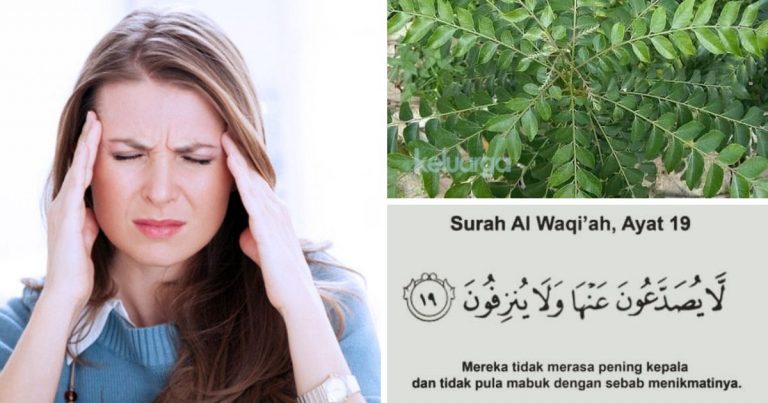 Petua Hilangkan Sakit Kepala, Migrain Dengan Daun Kari. Yang Ada Masalah Morning Sickness & Loya Pun Boleh Cuba Ni!
