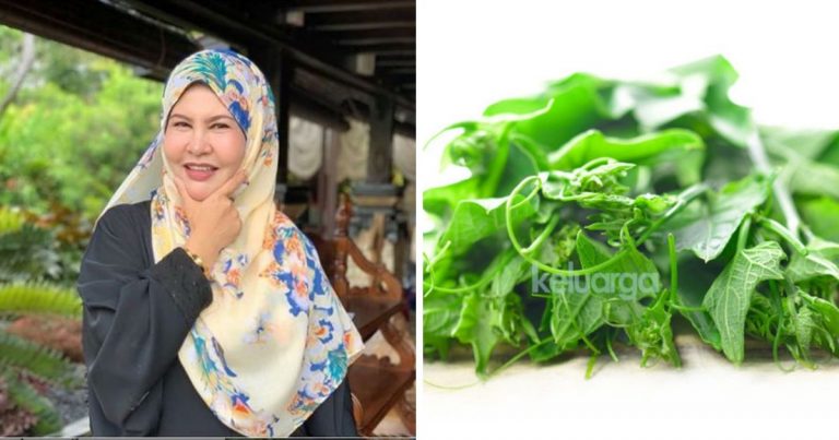 Pucuk Labu Miliki Khasiat Untuk Kesuburan & Ikhtiar Bagi Pasangan Yang Inginkan Anak. Bonda Rozita Kongsikan Caranya.
