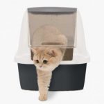 catit cat