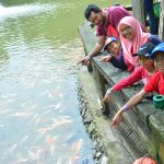 NOV 30 2019 KELUARGA HASLIZA FAMILY GADER FARM IN THE CITY
