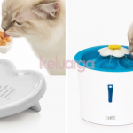 kucing 1