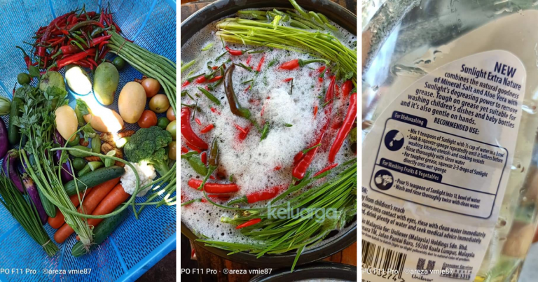 Tip Cuci Sayur Guna Sabun Khas. Bukan Je Elak Racun, Sayur Pun Lebih Segar. Begini Caranya!