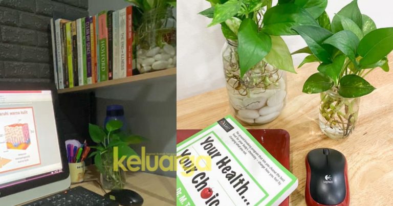 Ini Kelebihan Pokok Money Plant Yang Ramai Tak Tahu. Antaranya Buat Rasa Tenang Dan Bersihkan Udara Yang Tercemar. Rugi Tak Tanam!