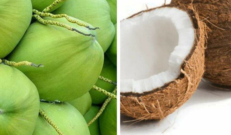 Air Kelapa Tua Atau Muda, Dua-dua Ada Kelebihan Untuk Kesihatan. Saintis Ni Jelaskan!