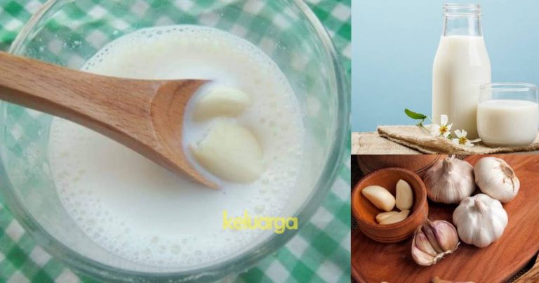 Amalkan Minum Susu Bawang Putih Buat Awet Muda. Badan Pun Rasa Ringan.