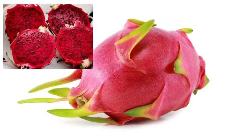 Makan Buah Naga Bila Buang Air Nampak Macam Warna Merah. Bahaya Ke? Ni Jawapannya!