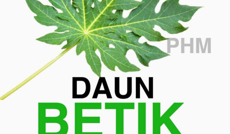 2 Helai Pucuk Betik Sehari, Begini Cara Amalkan Untuk Naikkan Platelet Darah!