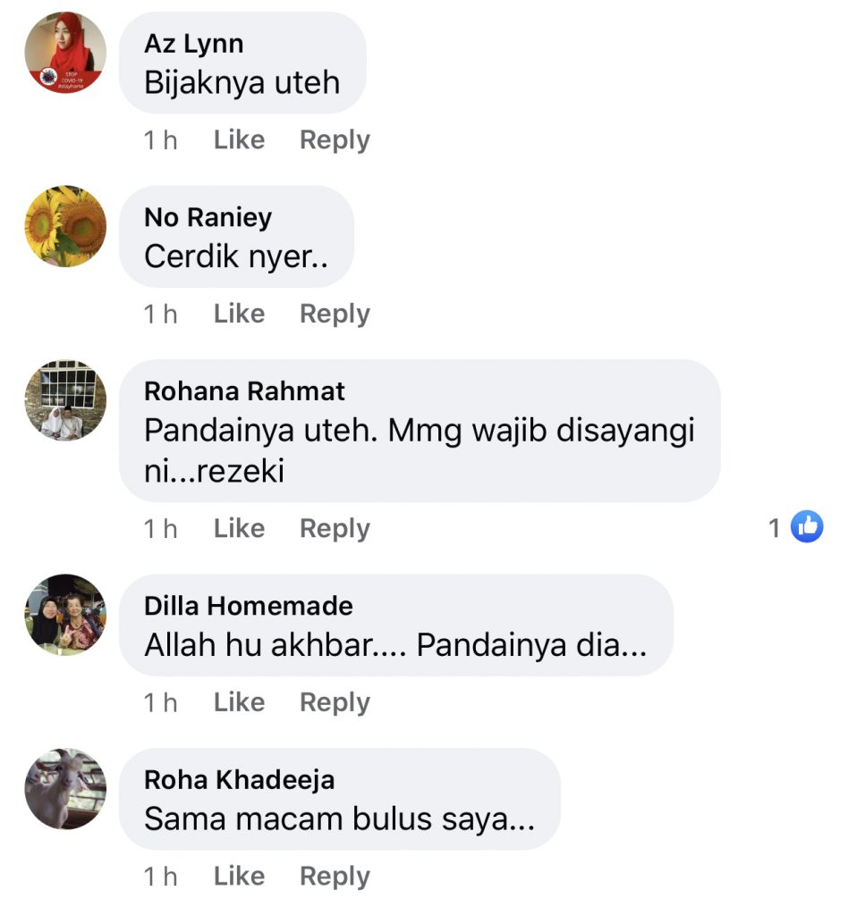 Gelagat Si Bulus Di Tandas, Tarik Perhatian Netizen. Rupanya Hanya