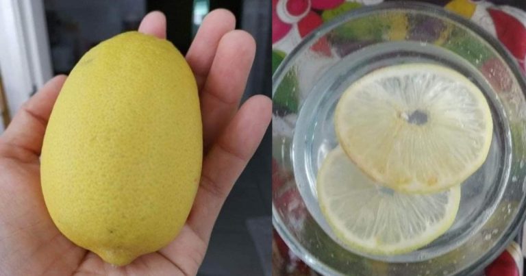 Wanita Ini Kongsi Khasiat Jus Lemon Panas, Minum Waktu Perut Kosong Nak Hasil Luar Biasa. 